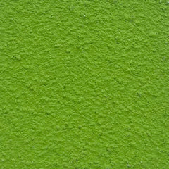 Solid green color swatch with a textured surface